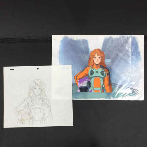 銀河英雄伝説 カーテローゼ セル画 背景有 A3